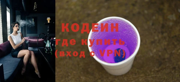 хмурый Алексин