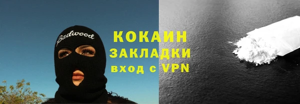 хмурый Алексин