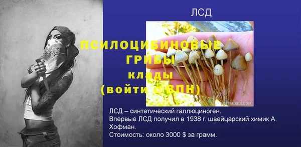 ГАЛЛЮЦИНОГЕННЫЕ ГРИБЫ Наволоки