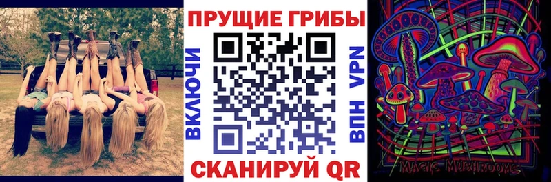 Псилоцибиновые грибы MAGIC MUSHROOMS  нарко площадка Telegram  Дзержинск 